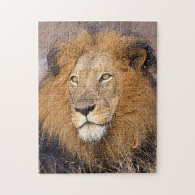 A portrait of a Lion looking into the distance Jigsaw Puzzle (Vertical)