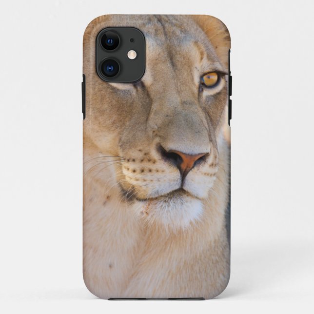 A portrait of a Lioness looking into the distance Case-Mate iPhone Case (Back)