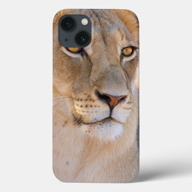 A portrait of a Lioness looking into the distance Case-Mate iPhone Case (Back)