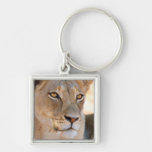 A portrait of a Lioness looking into the distance Key Ring