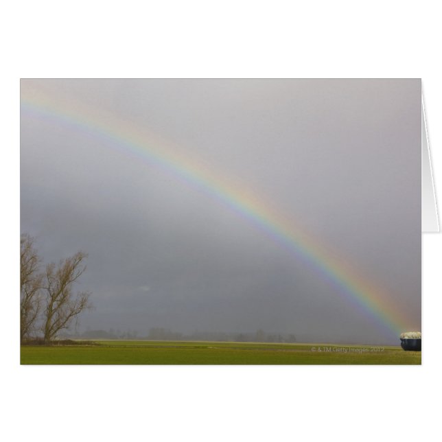 A pot of gold sits at a rainbows end (Front Horizontal)