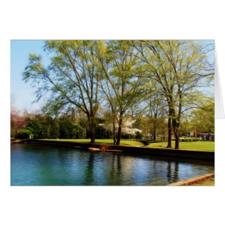 A Pretty Spring Day in the Park