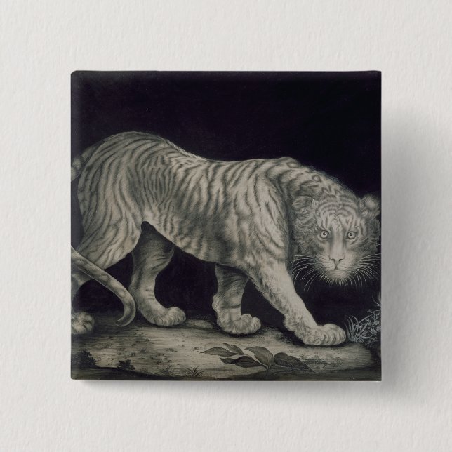 A Prowling Tiger (pencil on paper) 15 Cm Square Badge (Front)