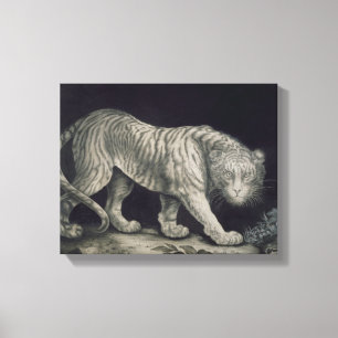 A Prowling Tiger (pencil on paper) Canvas Print