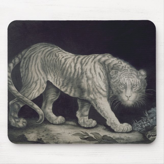 A Prowling Tiger (pencil on paper) Mouse Mat (Front)
