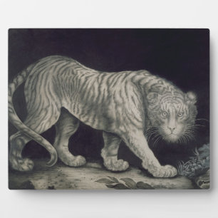 A Prowling Tiger (pencil on paper) Plaque