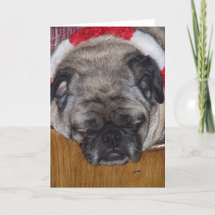 A Pug Dog's Christmas Card