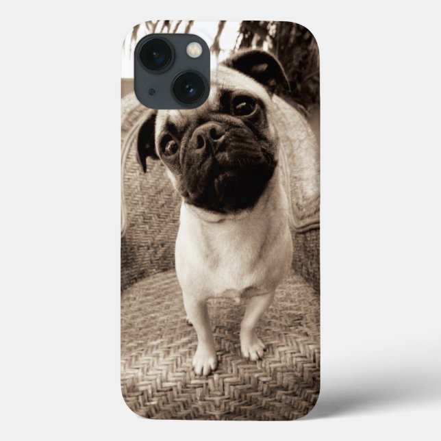A Pug with its Head Titled to the Side Case-Mate iPhone Case (Back)