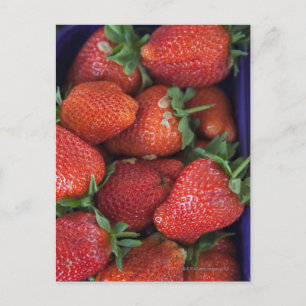 a punnet of ripe fresh strawberries for sale in postcard