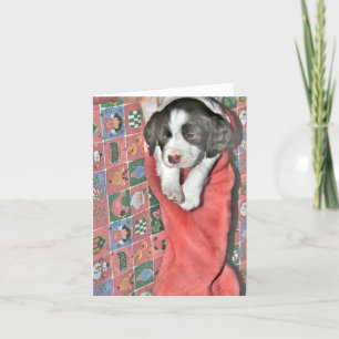 A Puppy For Christmas Holiday Card