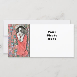 A Puppy For Christmas Holiday Card