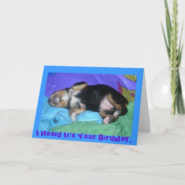 a pups hard day, I Heard It's Your Birthday, Card (Front)