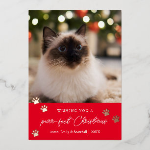 A Purr-fect Christmas Pet Photo Foil Holiday Card