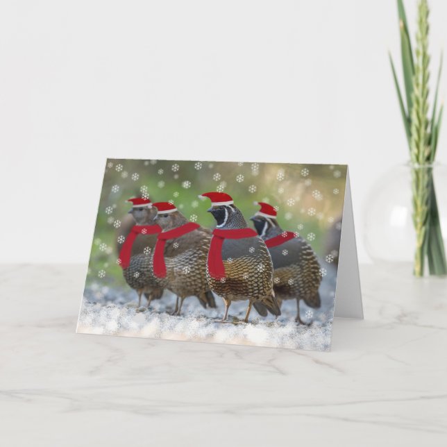 A Quail Christmas Holiday Card (Front)