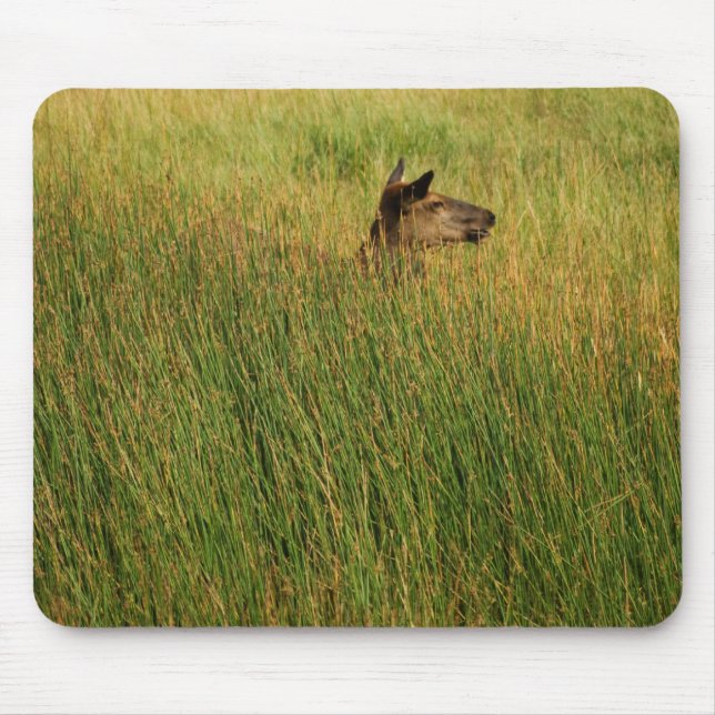 A Quick Peak Mousepad (Front)