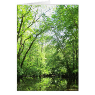 A Quiet Creek