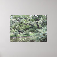 A Quiet Place to Read by water, under trees on a