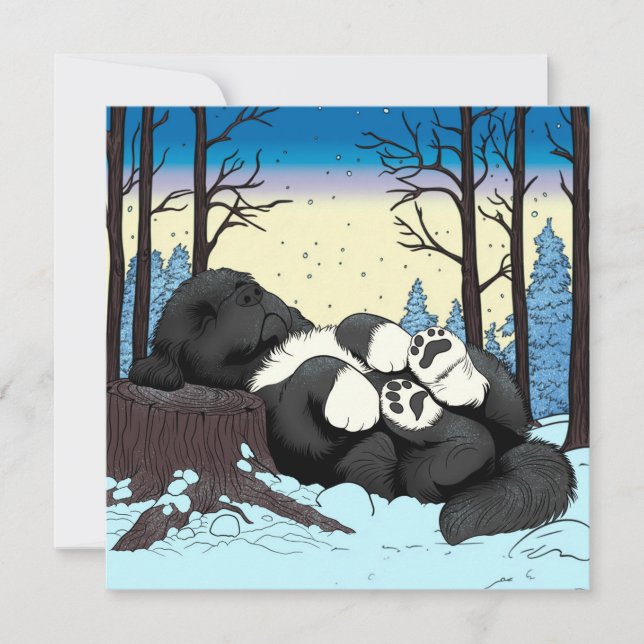 A quiet winters Newfoundland nap Holiday Card (Front)