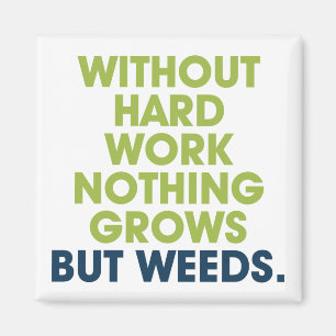 A Quote on Magnet