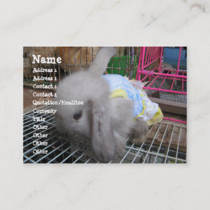 A Rabbit in a Dress Business Card