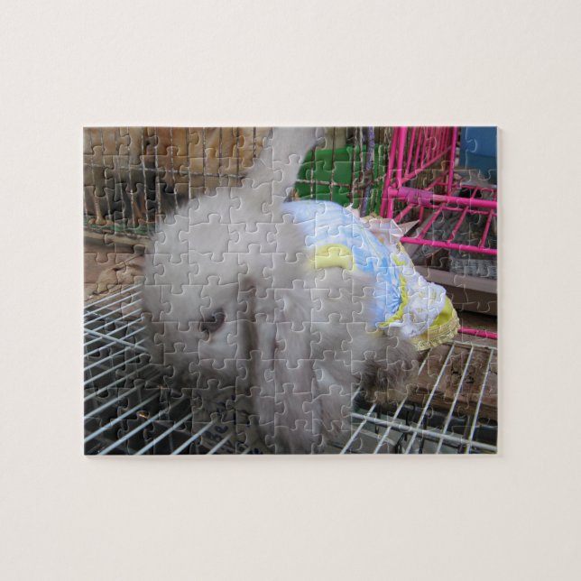 A Rabbit in a Dress Jigsaw Puzzle (Horizontal)
