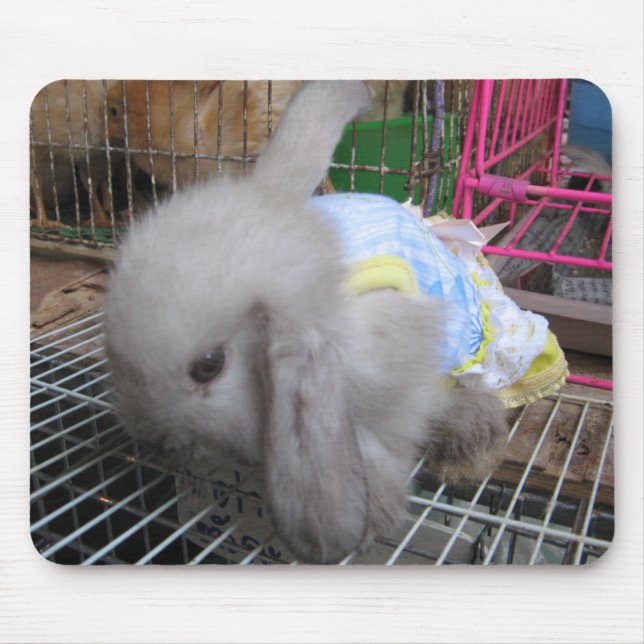 A Rabbit in a Dress Mouse Mat (Front)