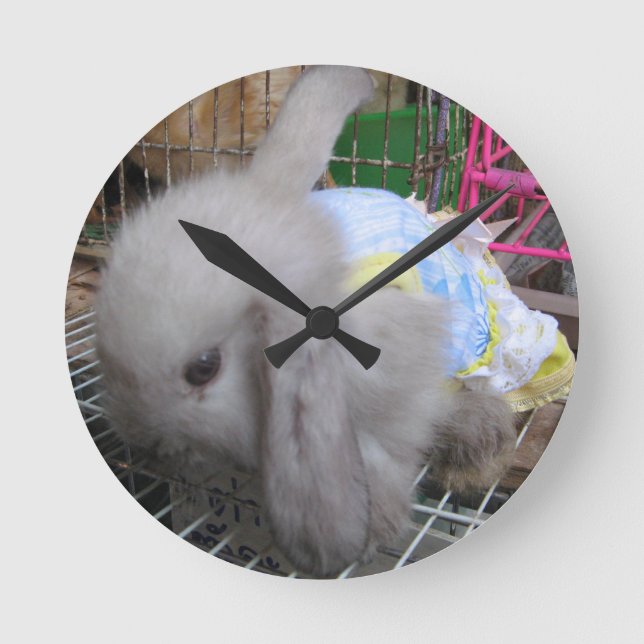 A Rabbit in a Dress Round Clock (Front)