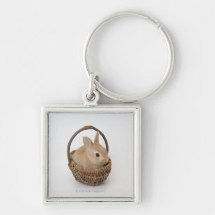 A rabbit is in a basket.Netherland Dwarf. Key Ring