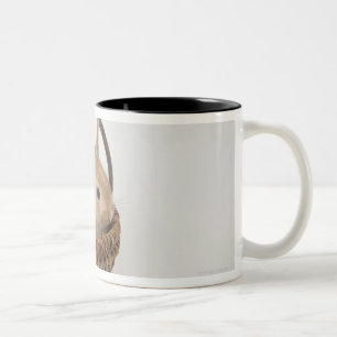 A rabbit is in a basket.Netherland Dwarf. Two-Tone Coffee Mug