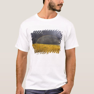 A rainbow appearing through a misty after noon T-Shirt