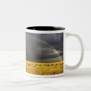 A rainbow appearing through a misty after noon Two-Tone coffee mug