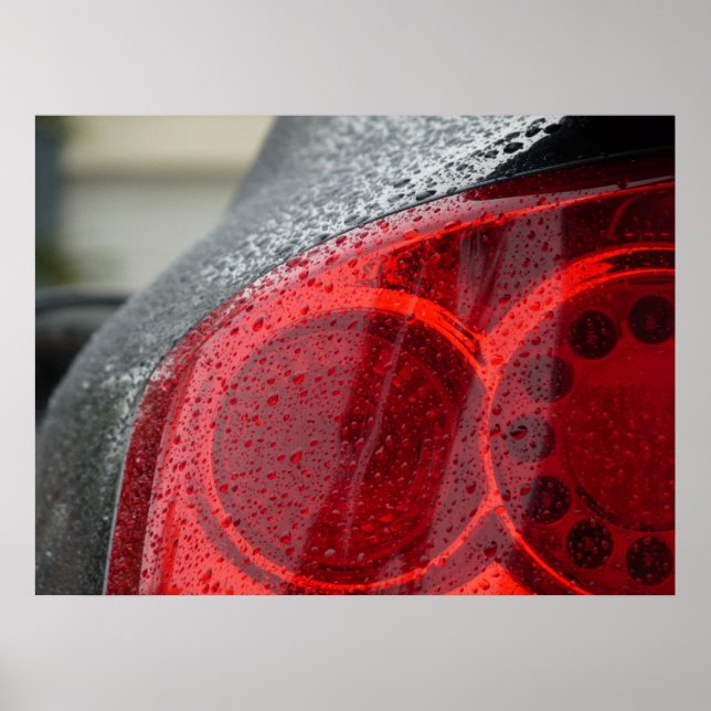 A Rare View Poster (Front)