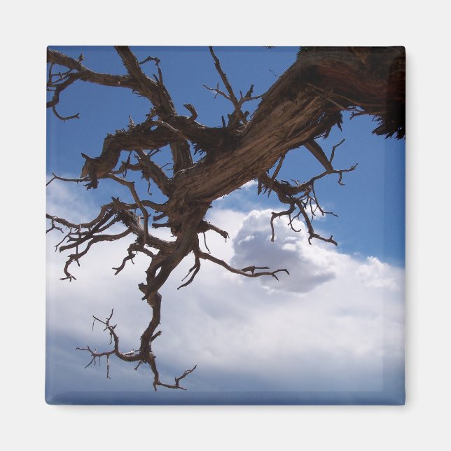 A Real Cliffhanger Magnet (Front)