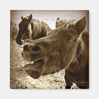 A Real Friend Magnet