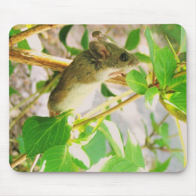 A REAL MOUSEPAD! MOUSE MAT (Front)
