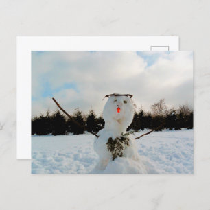 A real Snowman & a winter landscape photo Holiday Postcard