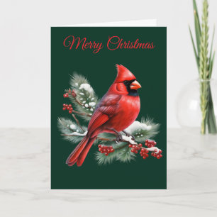 A Red Cardinal Holiday Card
