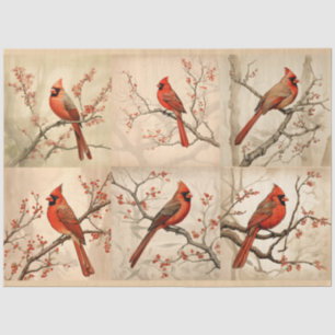 A Red Cardinal Series Design 2 Tissue Paper