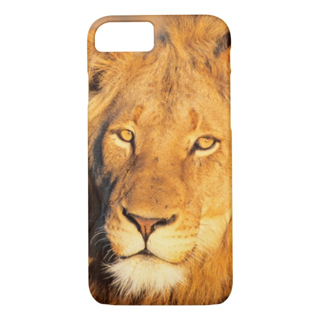 A Red Maned Lion looking at the camera. Case-Mate iPhone Case (Back)