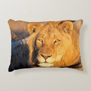 A Red Maned Lion looking at the camera. Decorative Cushion