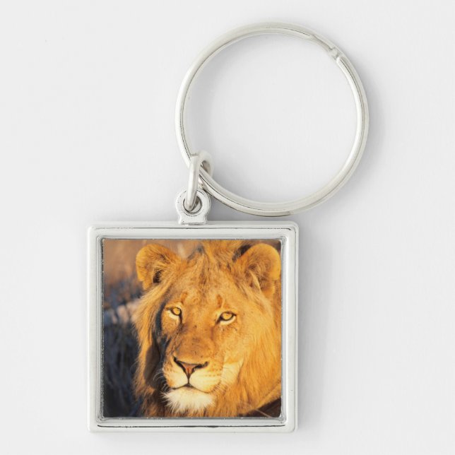 A Red Maned Lion looking at the camera. Key Ring (Front)