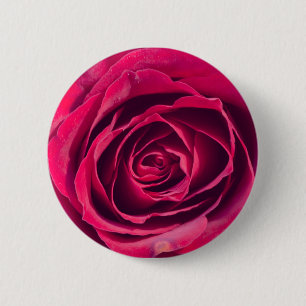 A red rose 6 cm round badge
