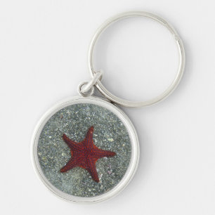 A Red Starfish Galapagos, Equador Key Ring