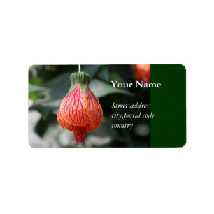 a red up-side-down hanging flower label