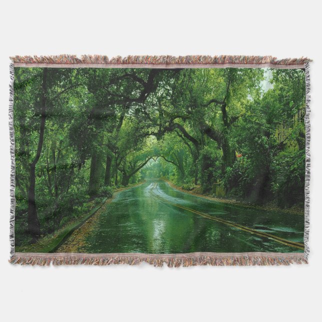A Refreshing Melody 009 Throw Blanket (Front)