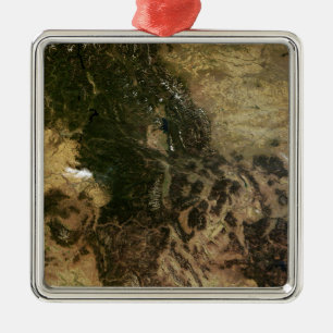 A relatively clear day metal tree decoration