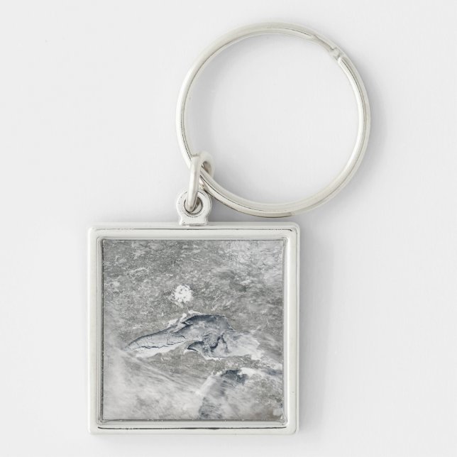 A relatively rare blanket of ice key ring (Front)