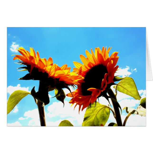 A Reminder of Us (Front Horizontal)