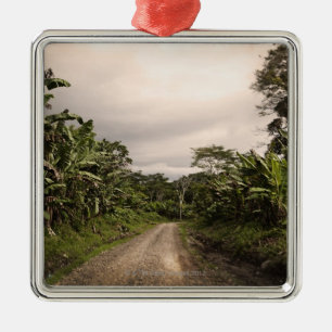 A remote jungle road metal tree decoration