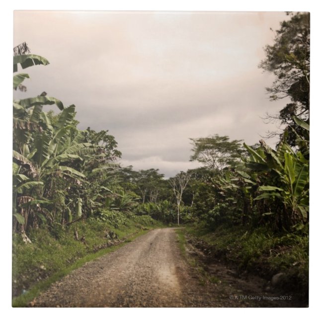 A remote jungle road tile (Front)